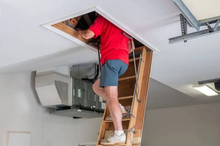 How Do Loft Ladders Work? Easy Explanation