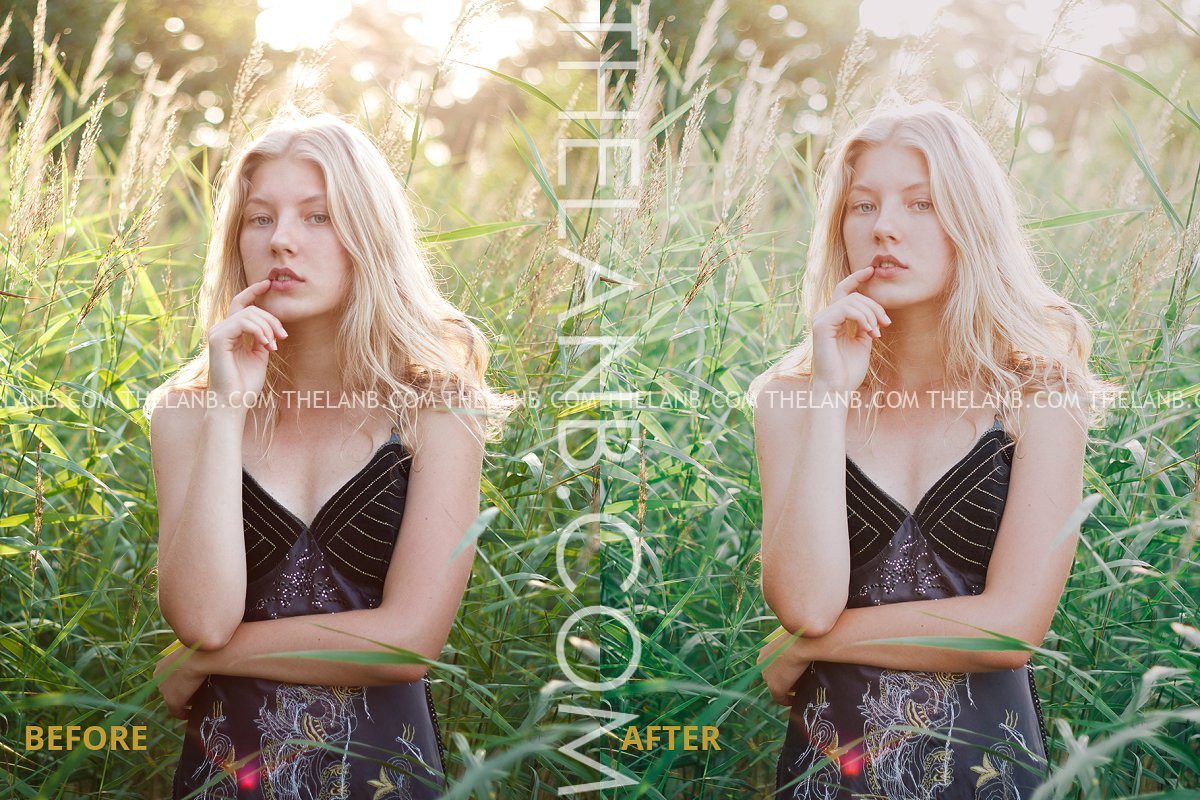 [VShare Preset] 12 Tone Màu Film Dành Cho Lightroom Thư Viện Tài