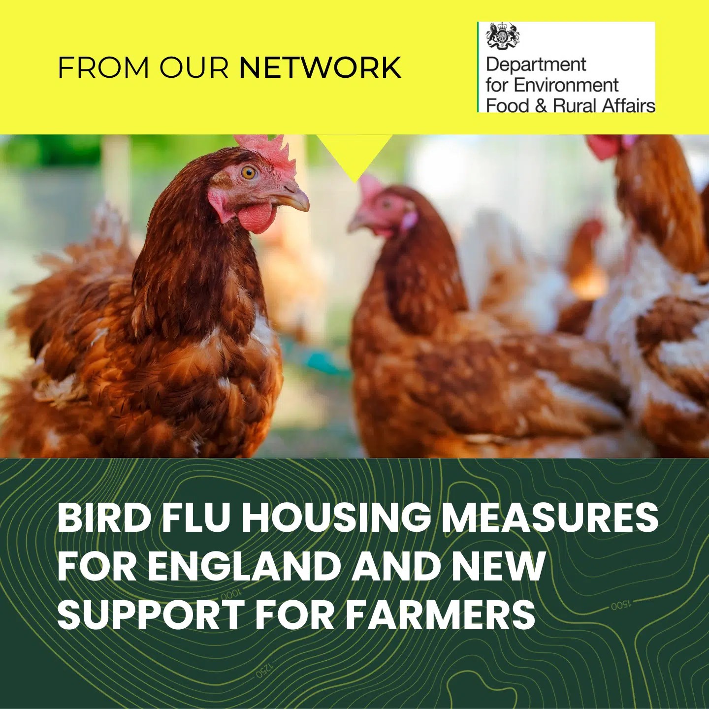 Bird flu housing measures for England and new support for farmers