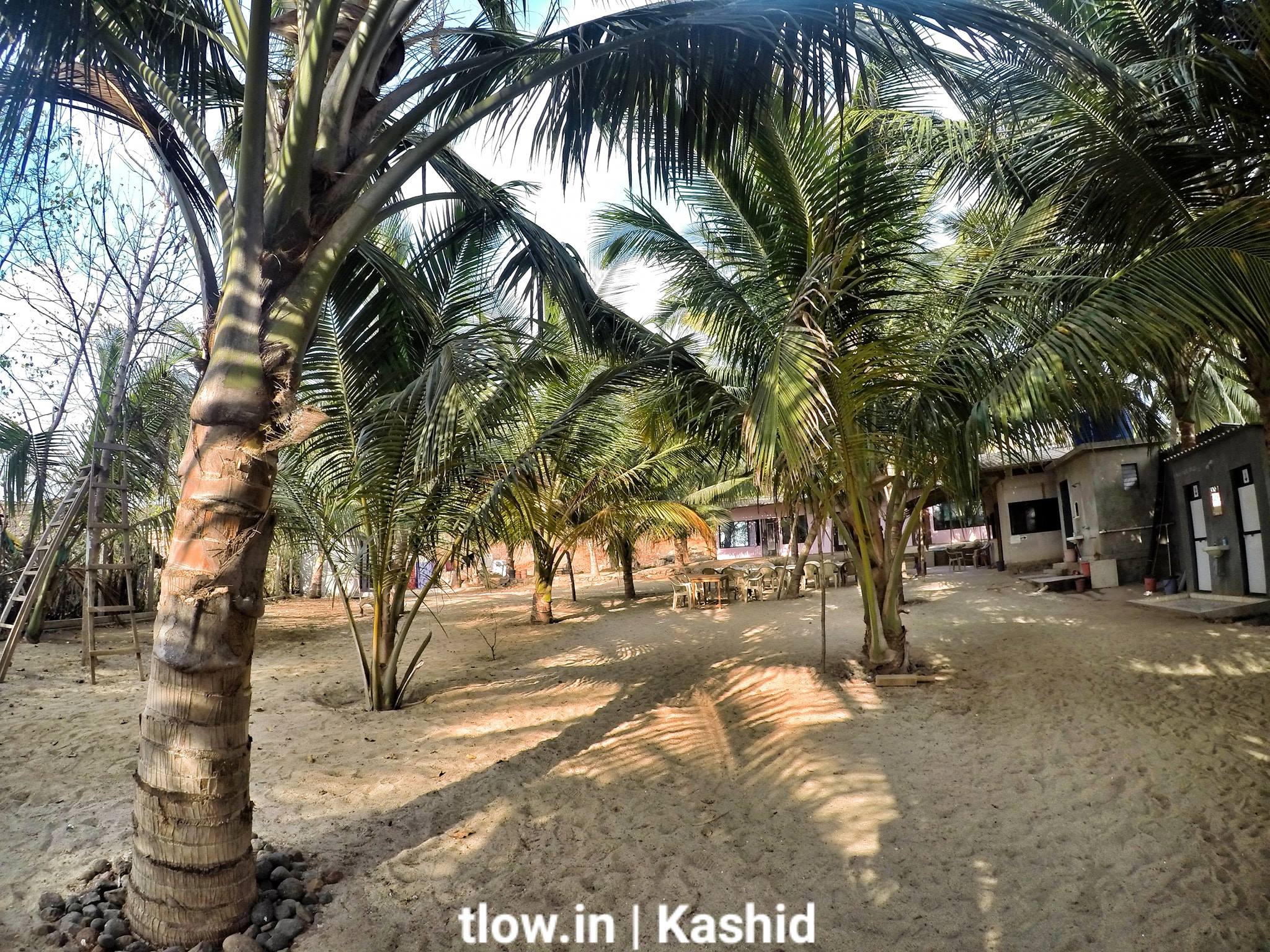 The Poor Man's Goa Kashid, Maharashtra The Land of Wanderlust