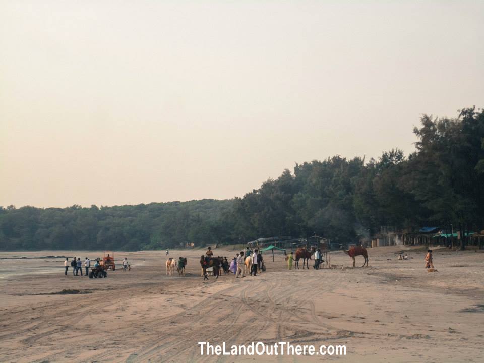 Kashid Beach Top 10 Experiences The Land of Wanderlust