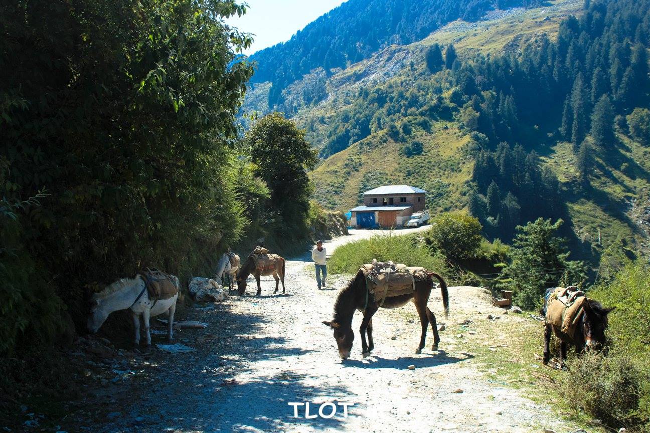 The Offbeat but awesome Gem Barot Valley, Himachal Pradesh The Land