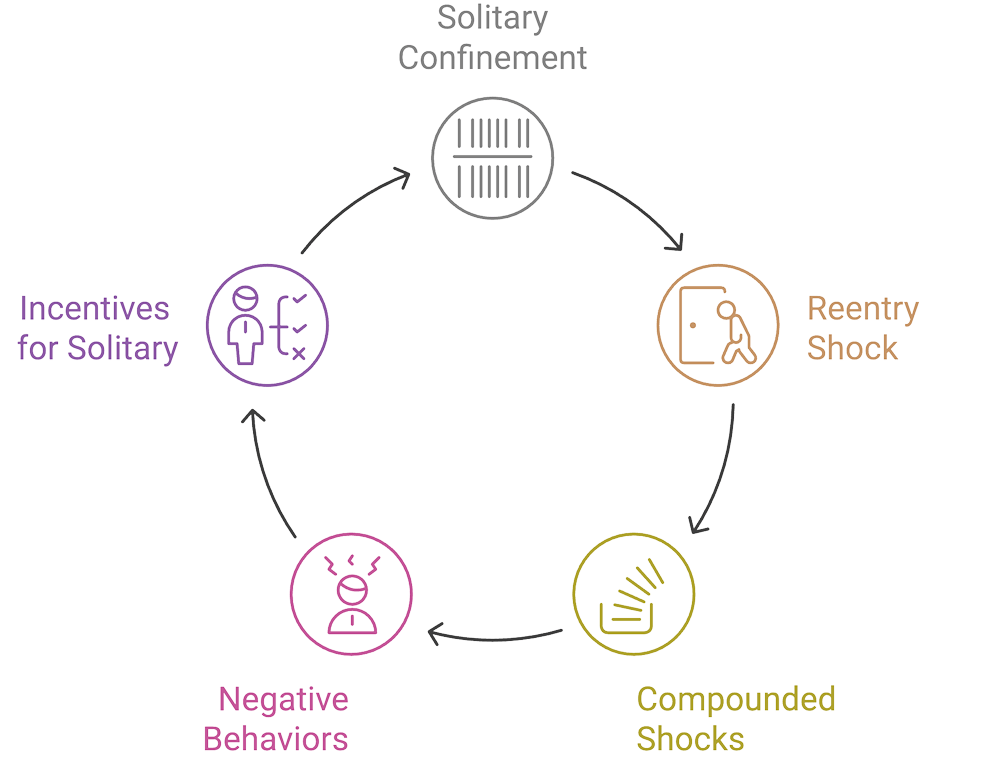 Solitary Confinement A Cyclical System Undermining Rehabilitation