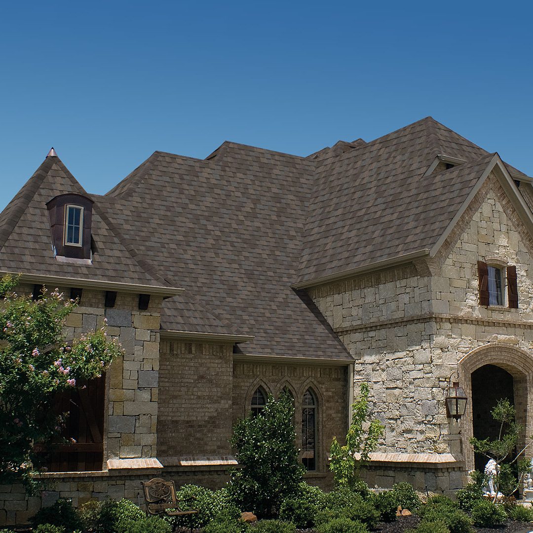 Pinnacle Pristine Magestic Shake Top Team