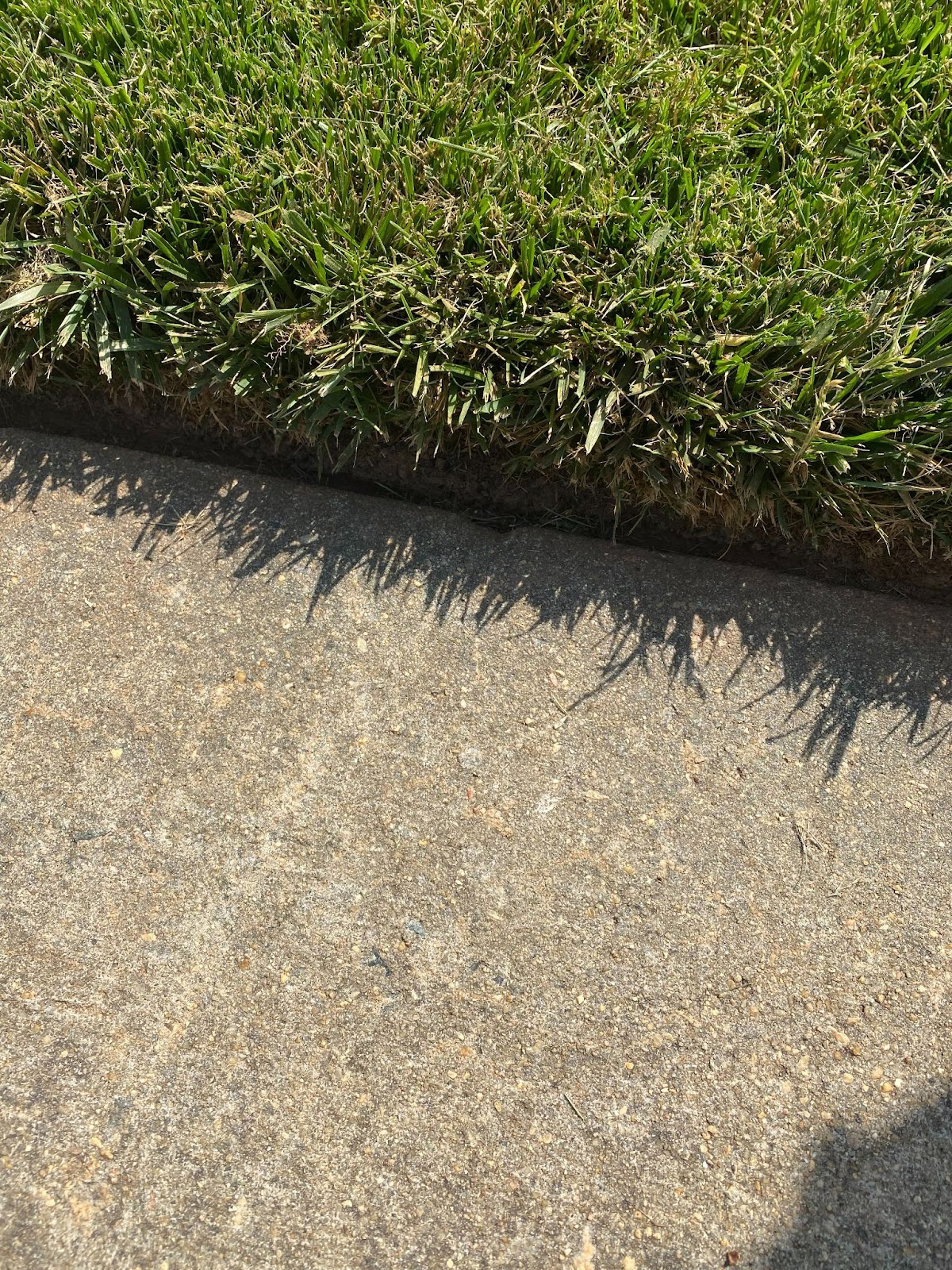 5 Trimmer and Edger Combos For Clean Lawn Edges | The Lawn Review