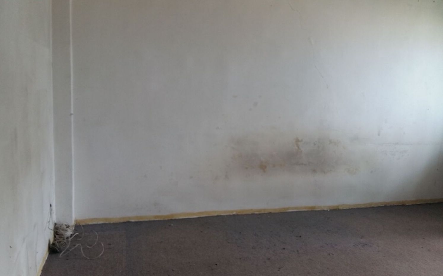 Thurrock Studio Flat Transformation LCS