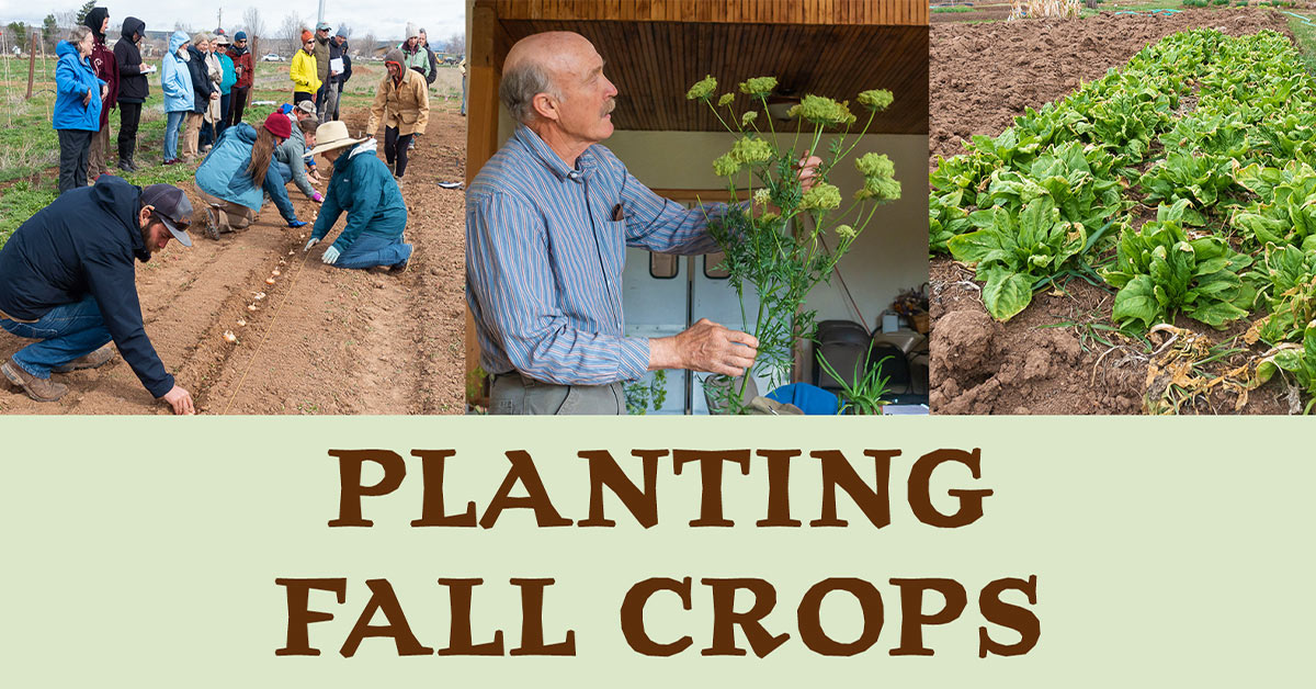 When To Start Planting Fall Crops all about hobby