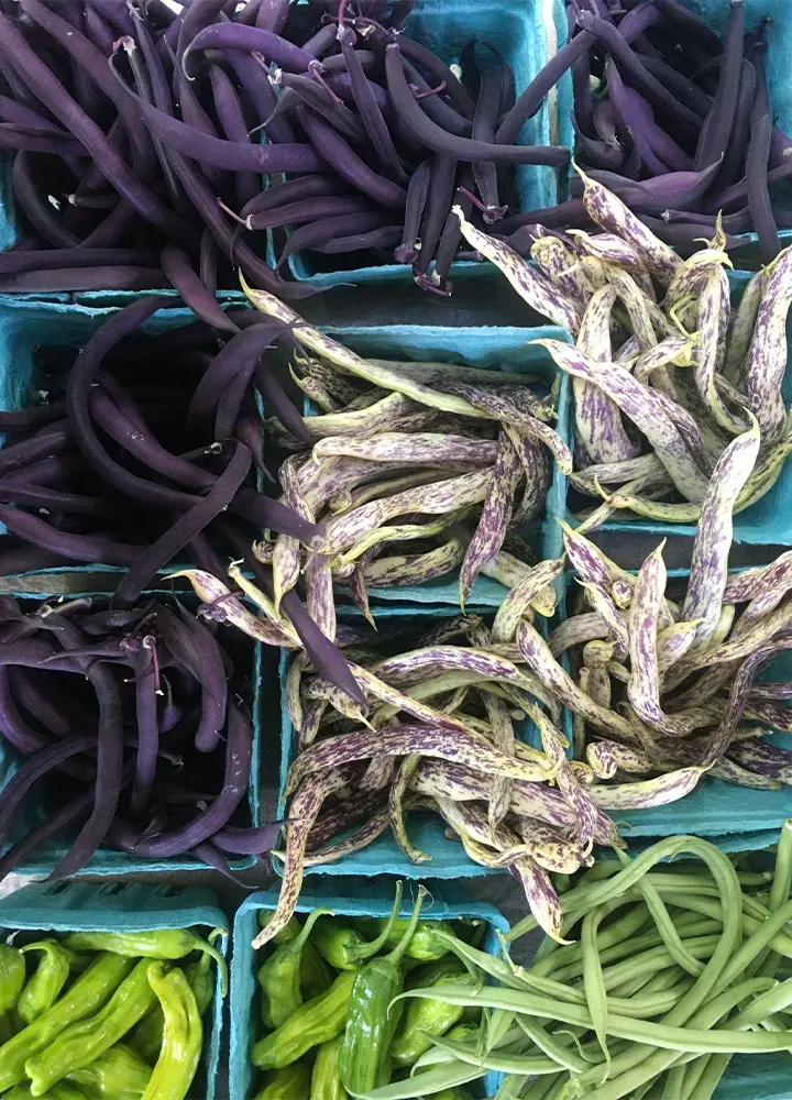 Arbol Farmers Market