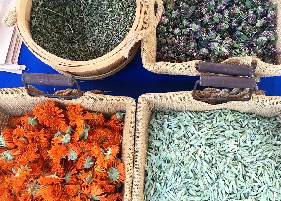 Arbol Farmers Market