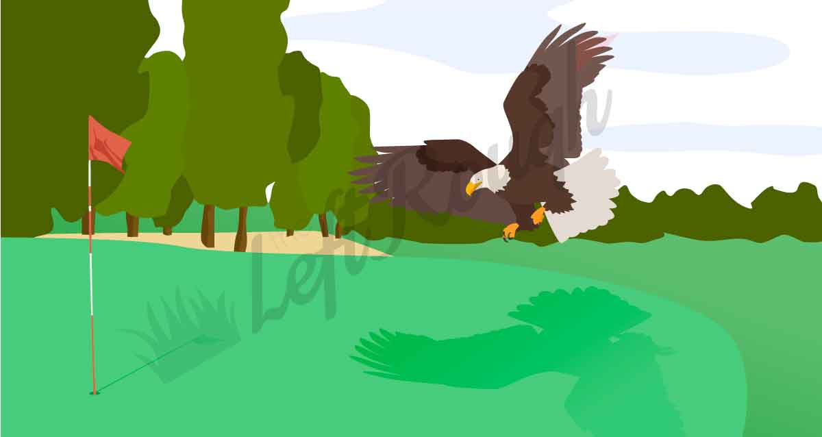 Golf Scoring Names for Beginners And Why all the Bird Names? The