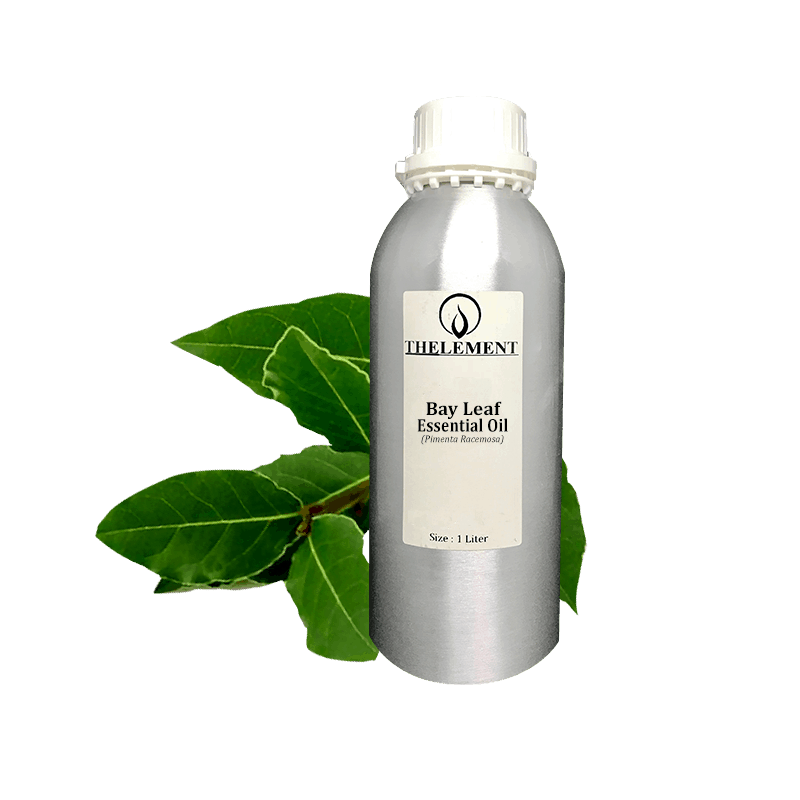 Bay Leaf Essential Oil Thelement