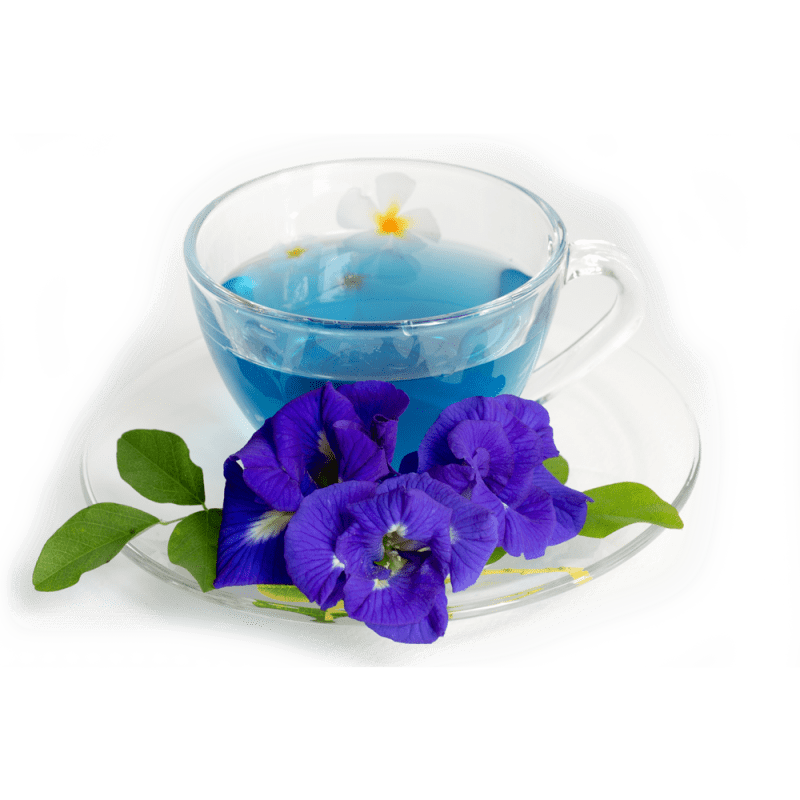 Butterfly Pea Tea Thelement