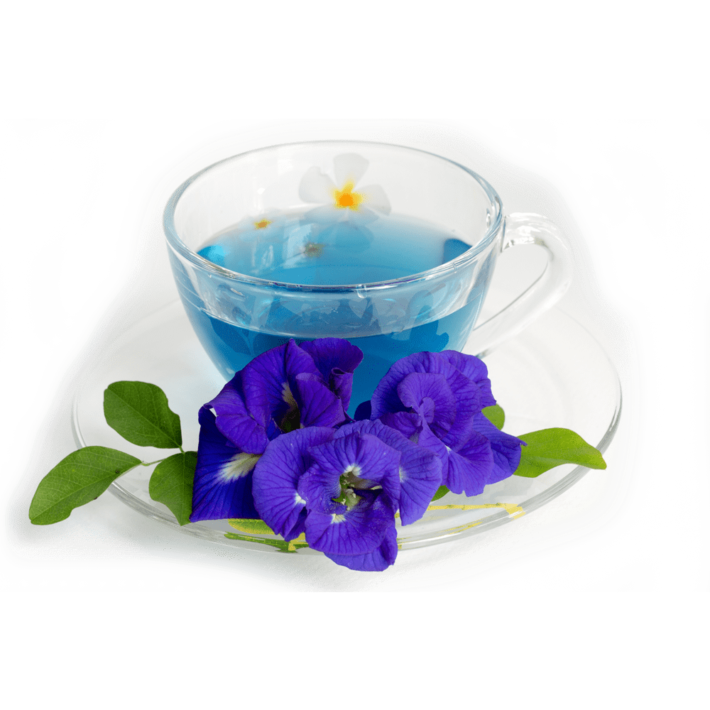 Butterfly Pea Tea Thelement