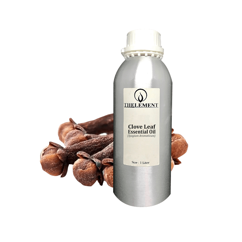 Clove Bud Essential Oil Thelement