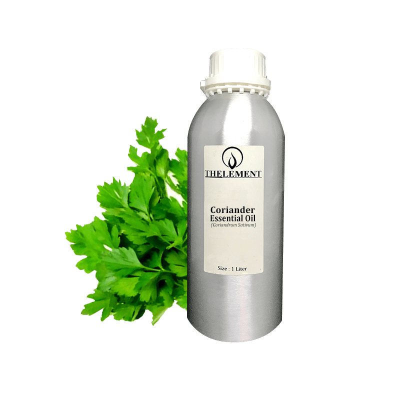 Coriander Essential Oil Thelement