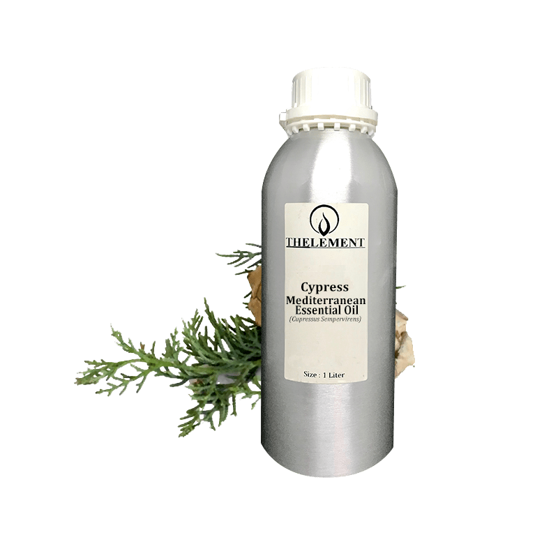 Cypress Mediterranean Essential Oil Thelement