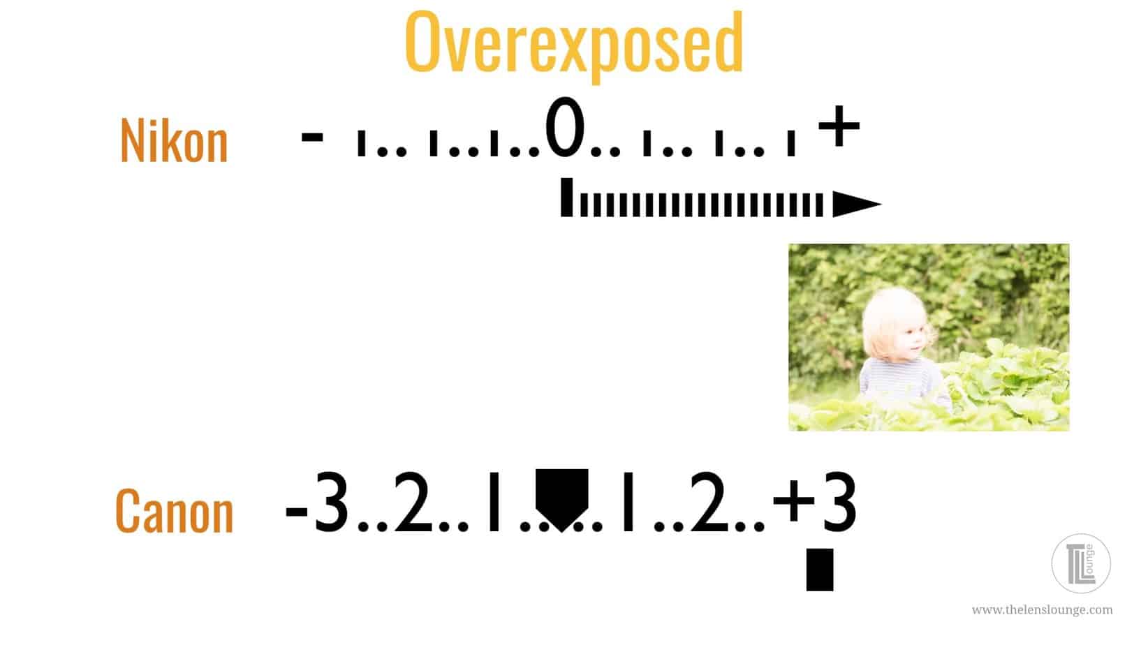 How to read a camera's exposure meter to control exposure
