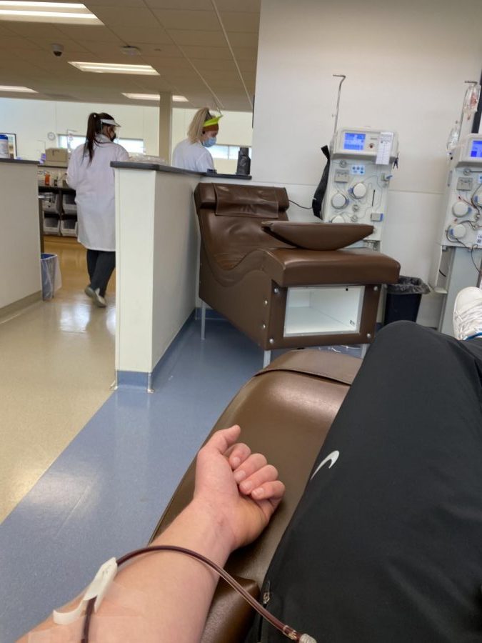 BioLife in Waite Park is in need of plasma The LeSabre