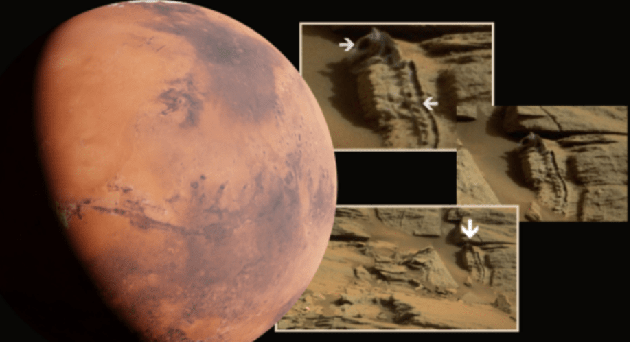 the Search For Water on Mars! A Fossilized Dinosaur Has Been