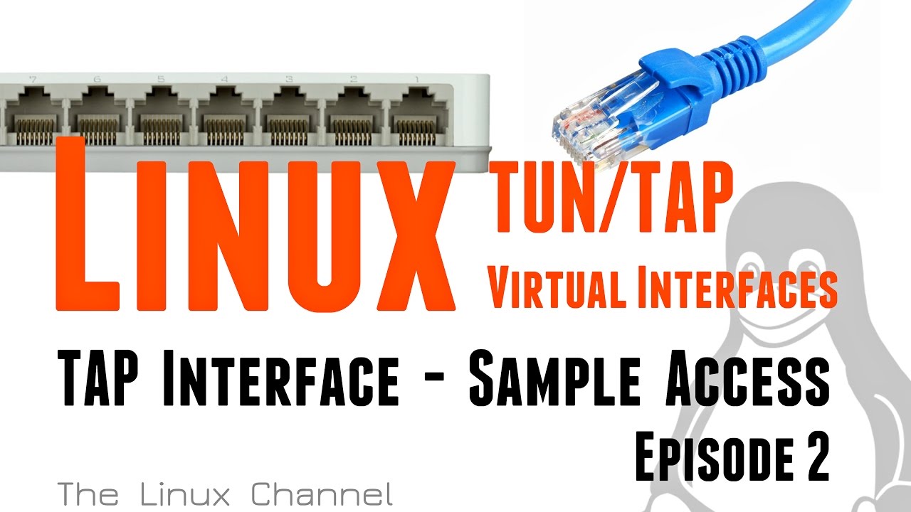 Linux TUN/TAP virtual network interfaces TAP Interface sample access