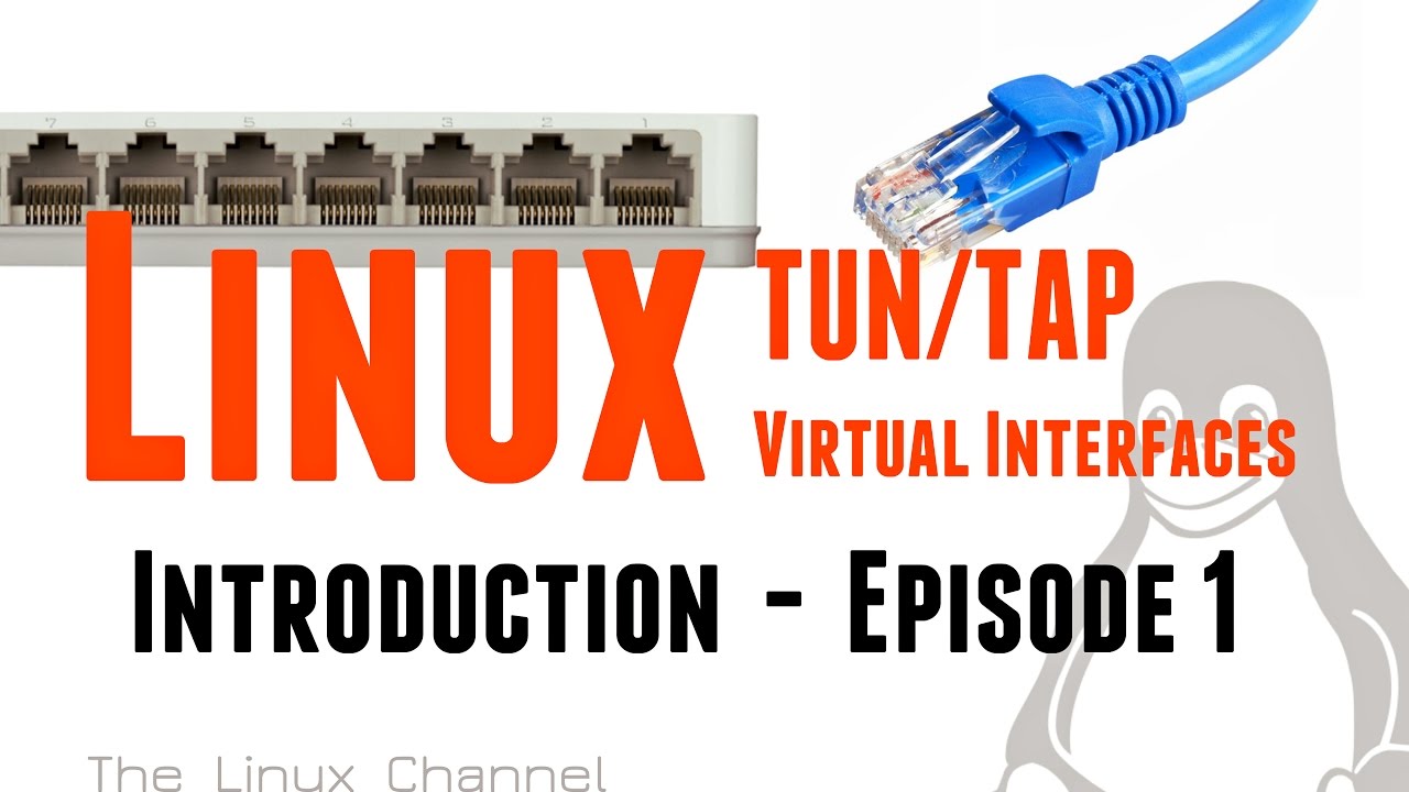 Linux TUN/TAP virtual network interfaces Introduction The Linux Channel