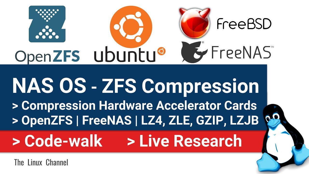 NAS OS ZFS Compression LZ4 ZLE Hardware Compression Accelerator