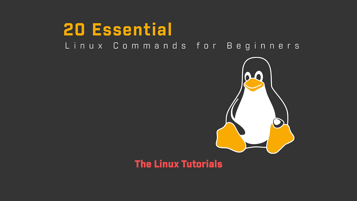 20 Essential Linux Commands for Beginners The Linux Tutorials