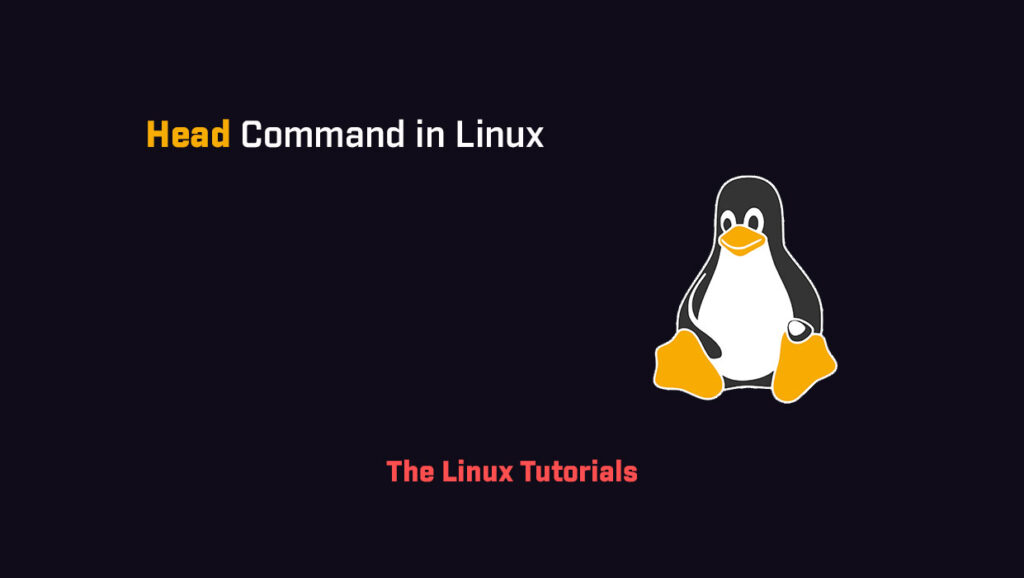 head command in Linux The Linux Tutorials