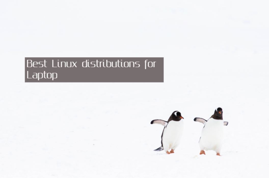 4 best Linux distro for laptops The Linux User