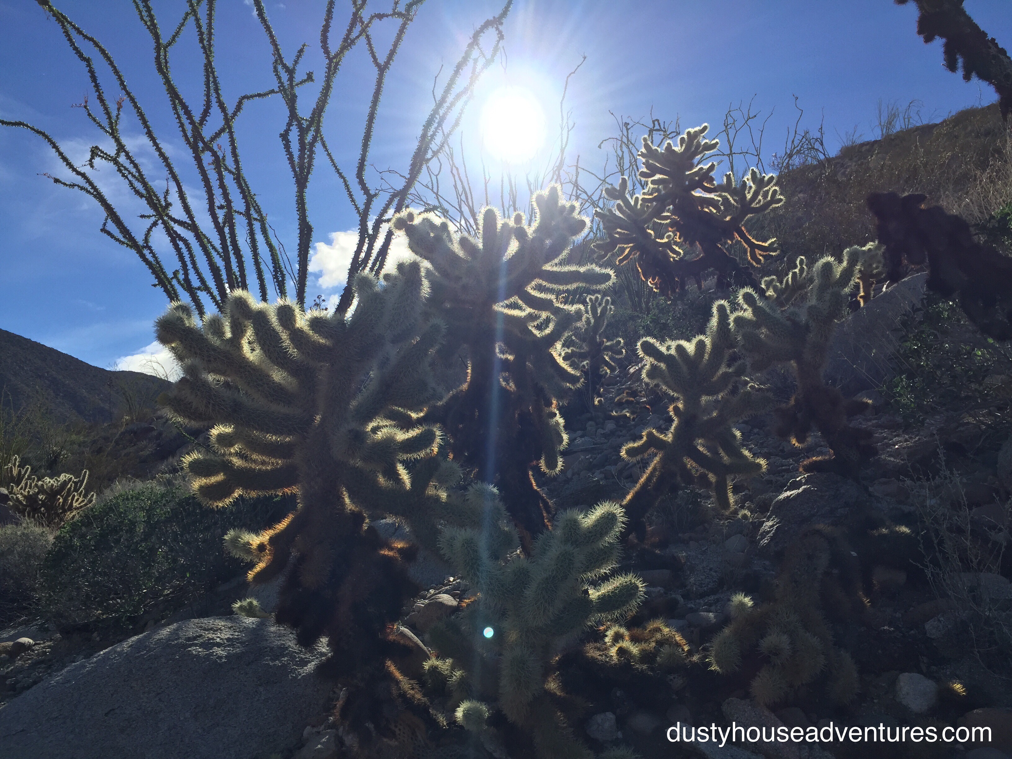 Mine Wash Kumeyaay Village THE ANCIENT SOUTHWEST