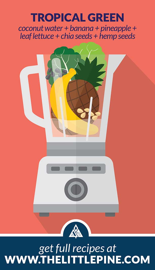 Green Smoothie Recipes | The Little Pine