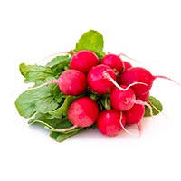 low carb vegetables, radish