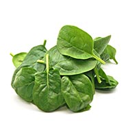 low carb vegetables, spinach