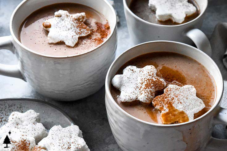 This keto hot chocolate is oh-so rich and creamy, and will leave you feeling warm and toasty inside -- no snow necessary! #ketohotchocolate #lowcarbhotchocolate closer view of low calorie hot chocolate