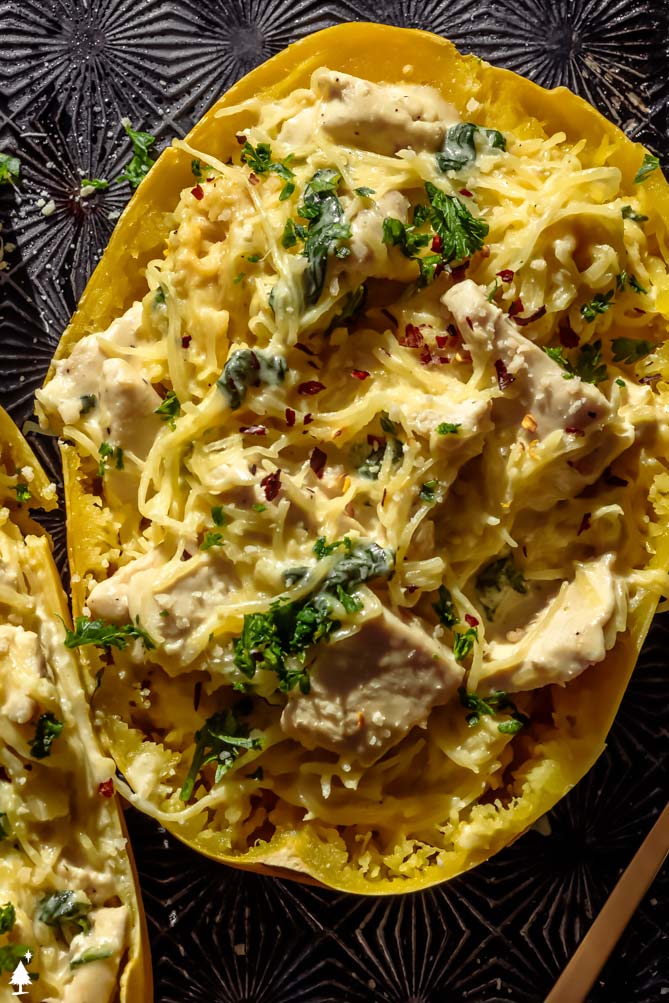 chicken spaghetti squash alfredo in a squash shell