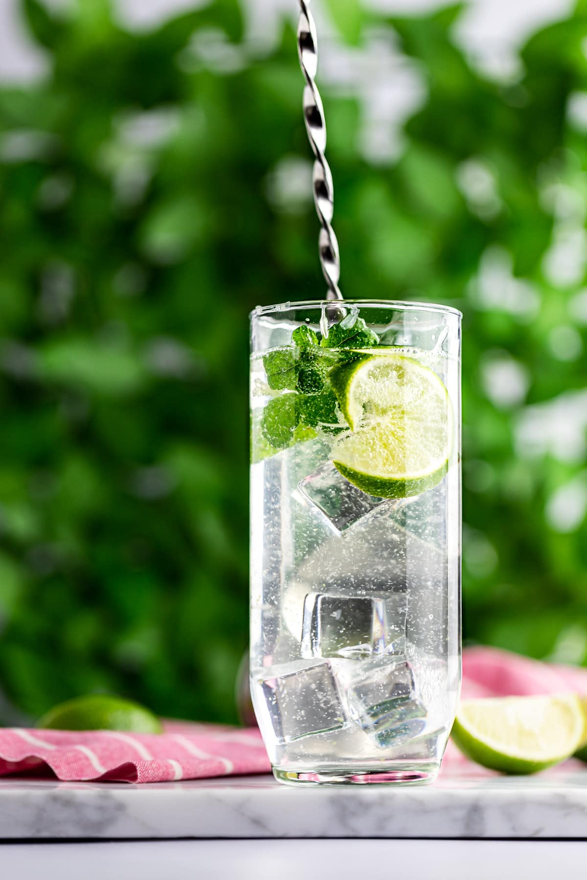 Gin Mojito The Littlest Crumb