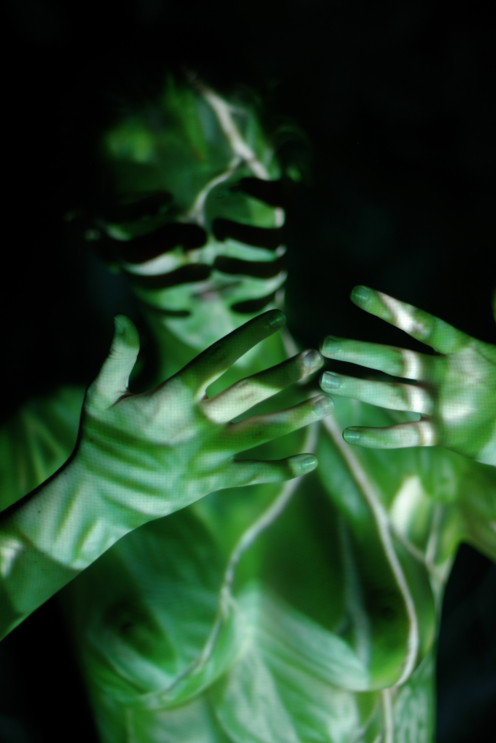 The Living Canvas Celebrating the beauty and expressive power of the