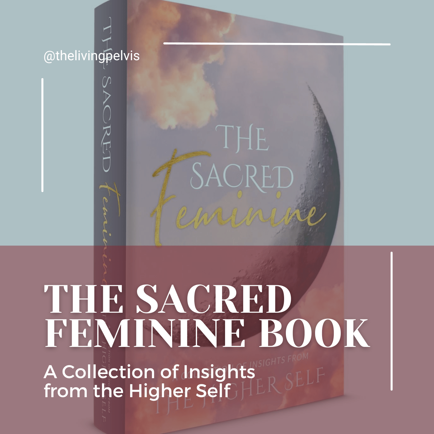The Sacred Feminine Book The Living Pelvis