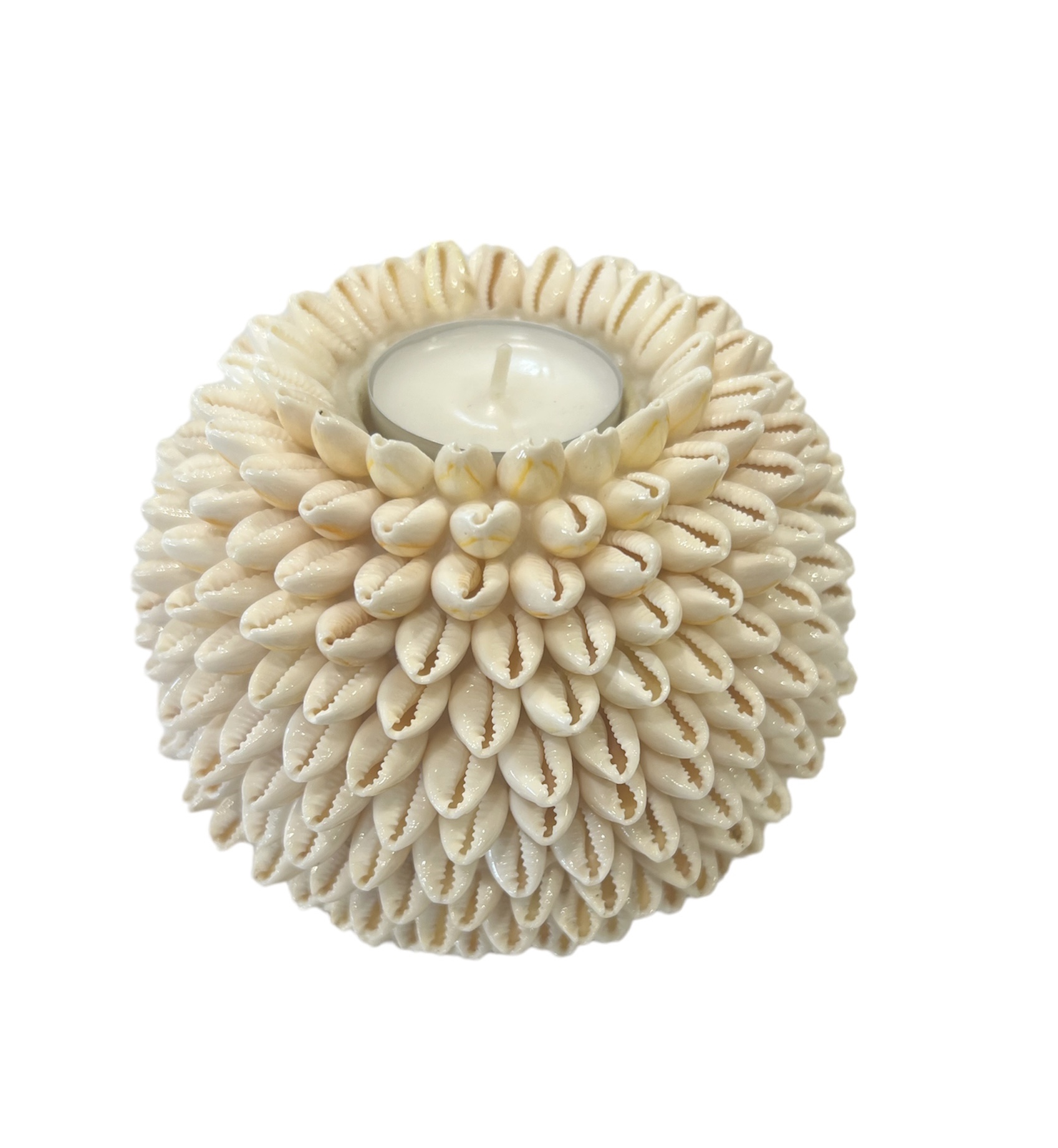Indonesian Seashell Tealight Candle Holder The Living Room Berry