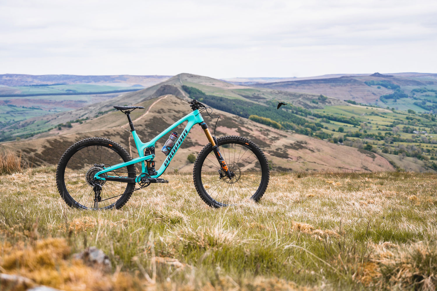 Review Propain Tyee CF 29 The Loam Wolf