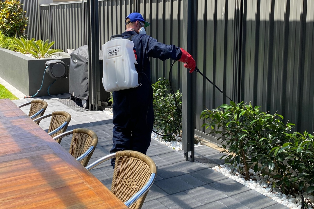 Pest Control Brisbane Commercial Pest Control Inspections Brisbane