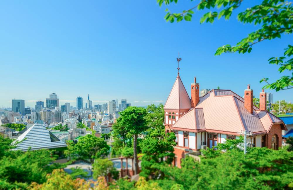 The Local Japanese Local and Authentic Food(03)