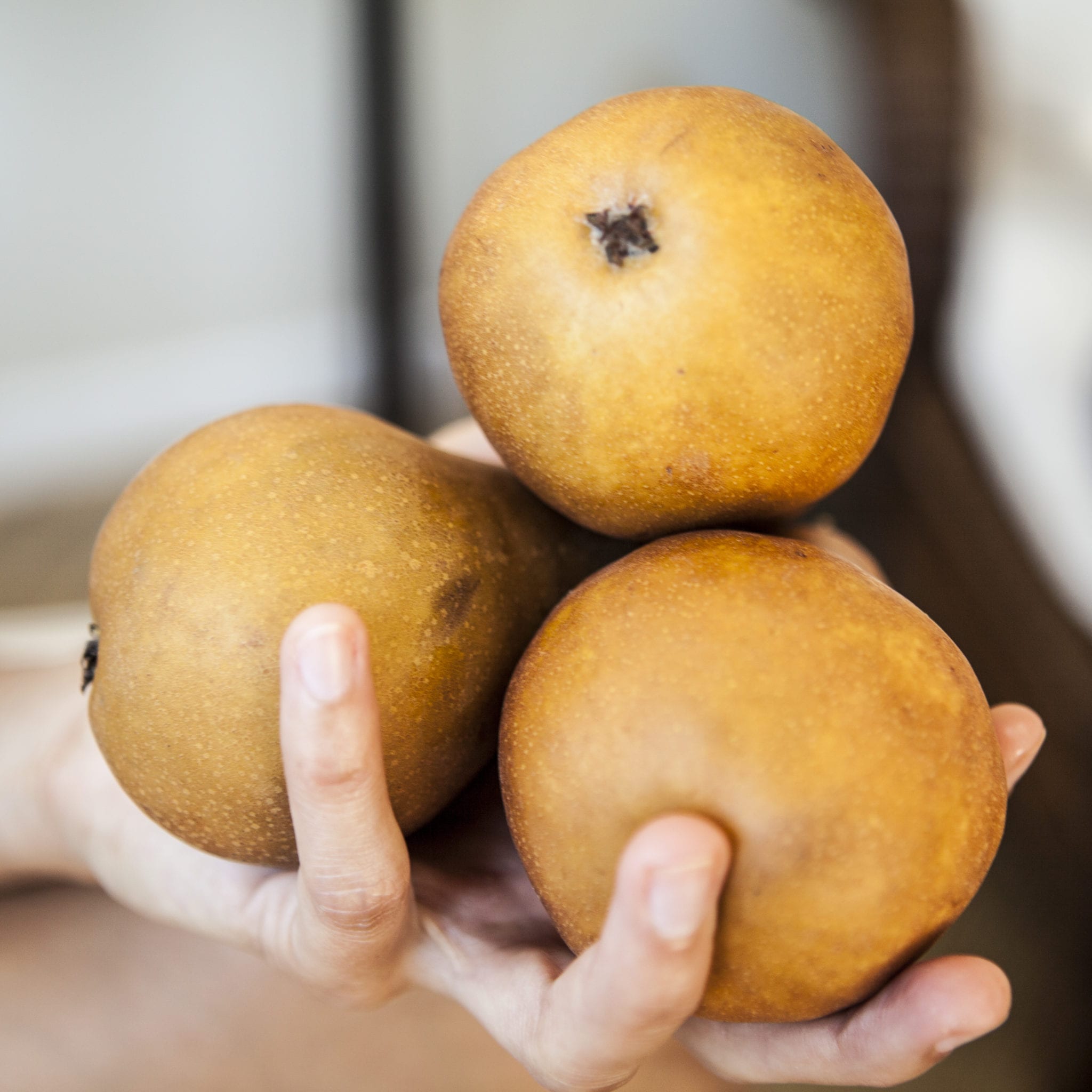 Pears Packed in Honey Vanilla Syrup The Local Palate