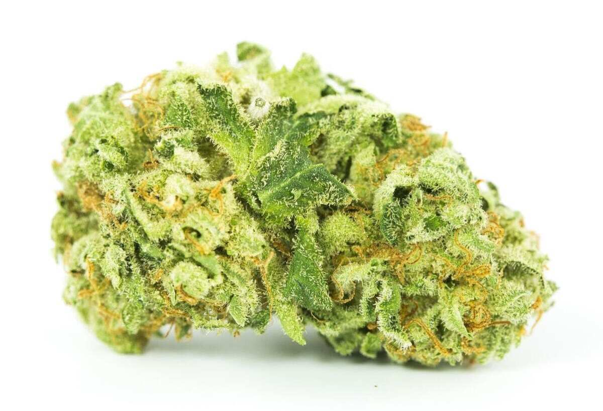 10 Best Lemon Weed Strains The Lodge Cannabis