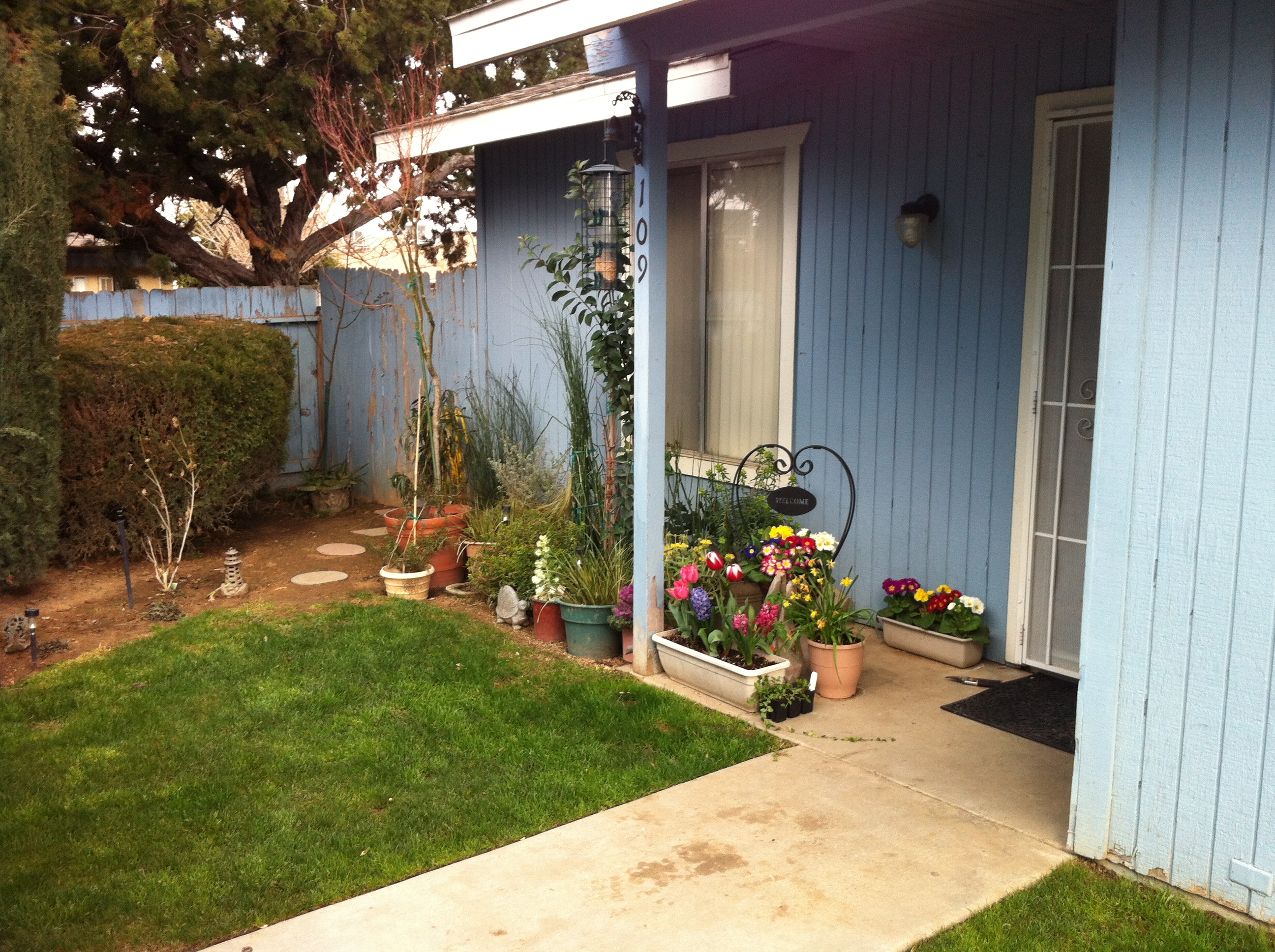 The Loft and The Twelve Apartment homes in Clovis