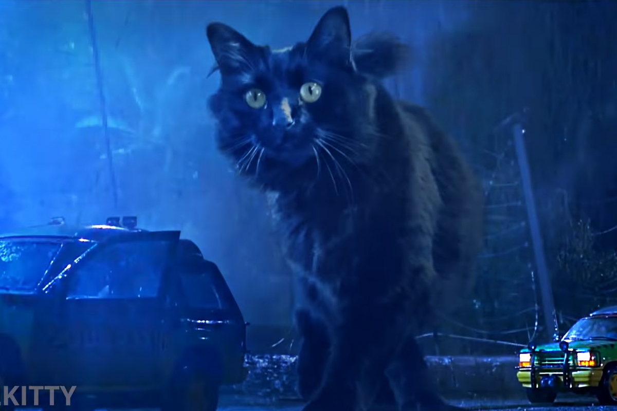 'Jurassic Park'...but with a Cat The Loftus Party