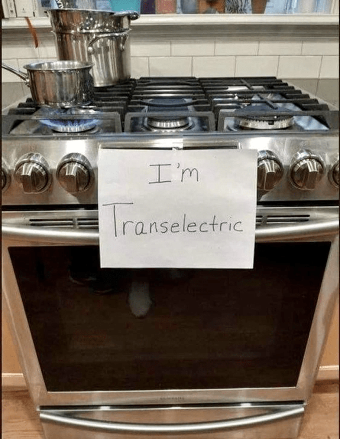 The Week in Memes Gaslighting Gas Edition The Loftus Party