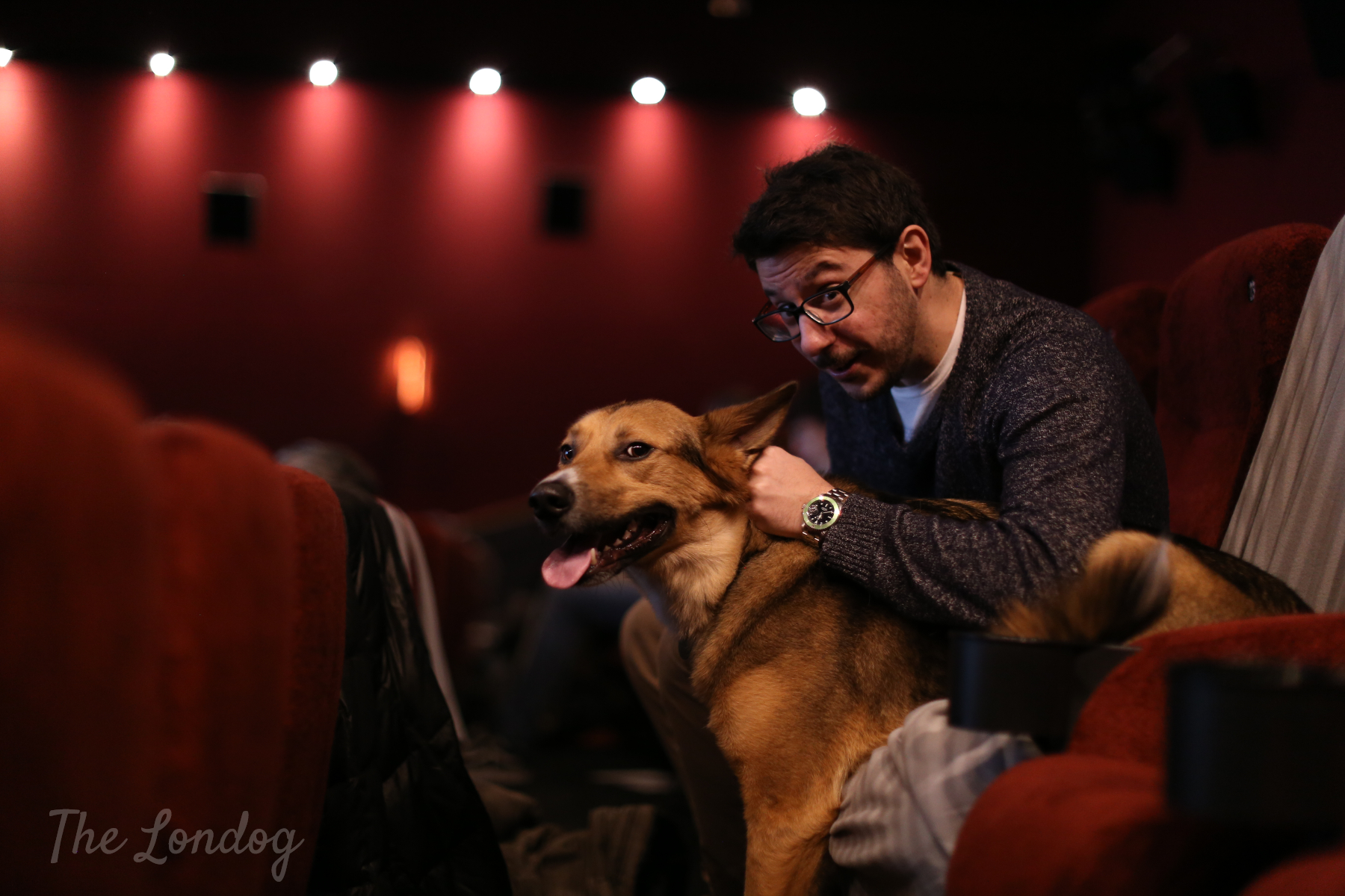 Dogfriendly cinema screening "Queen & Slim" at Hackney Picturehouse