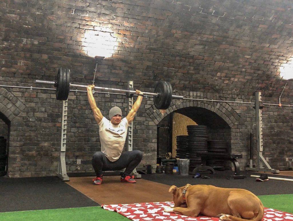 Guide to Dogfriendly Gyms in London The Londog