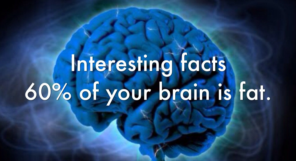 Brains and Brawn The Role of Fish Oil in Both! The Longevity Edge